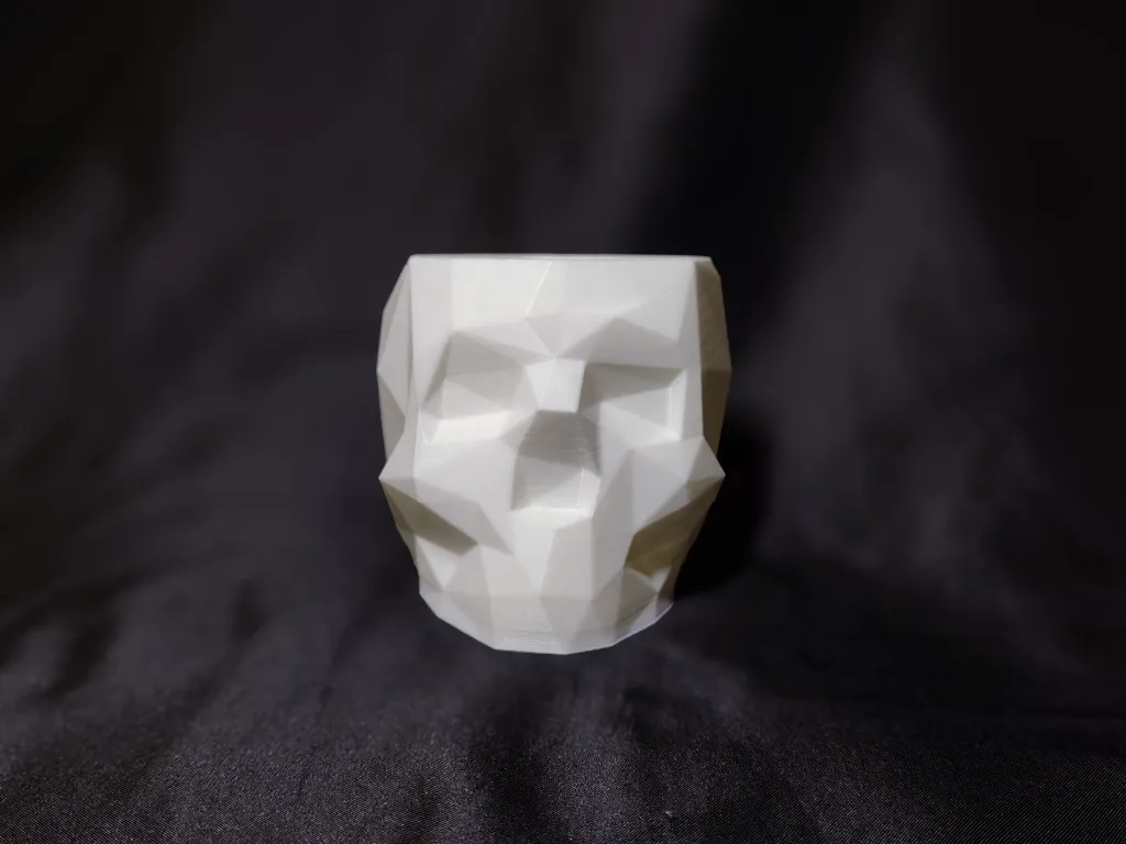 pot crâne face.webp