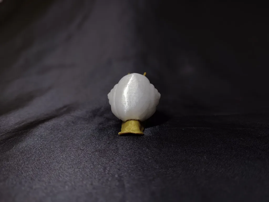 crâne escargot dos.webp